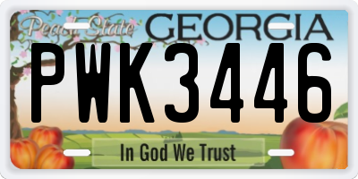 GA license plate PWK3446