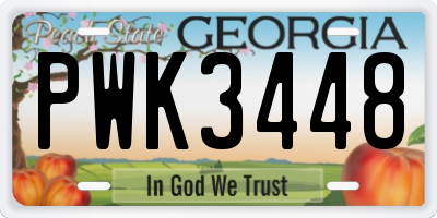 GA license plate PWK3448