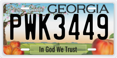 GA license plate PWK3449