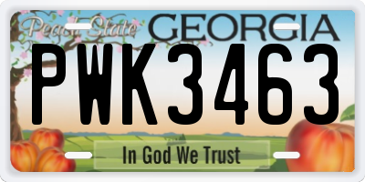 GA license plate PWK3463