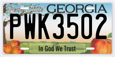GA license plate PWK3502