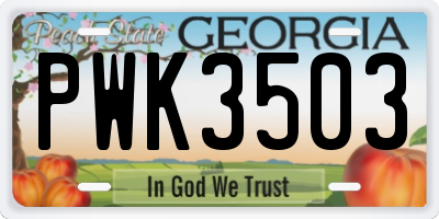 GA license plate PWK3503