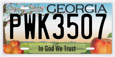 GA license plate PWK3507