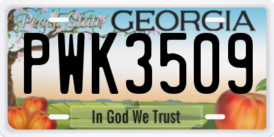 GA license plate PWK3509