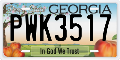GA license plate PWK3517