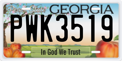 GA license plate PWK3519