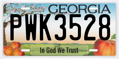 GA license plate PWK3528