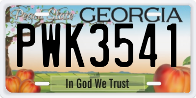 GA license plate PWK3541