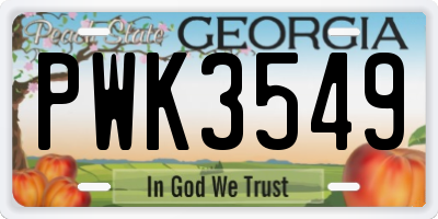 GA license plate PWK3549