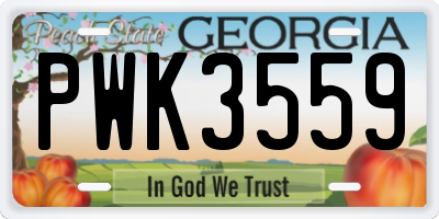 GA license plate PWK3559