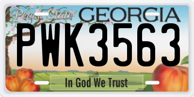 GA license plate PWK3563