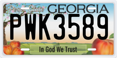 GA license plate PWK3589