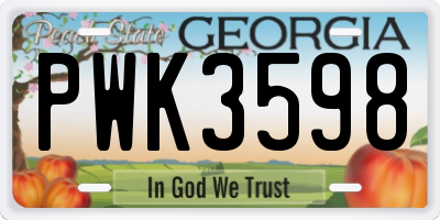 GA license plate PWK3598