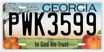 GA license plate PWK3599