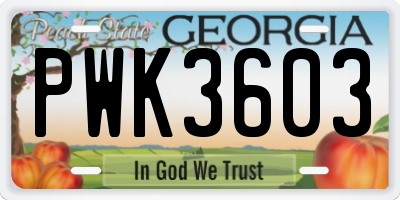 GA license plate PWK3603