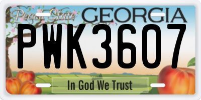 GA license plate PWK3607