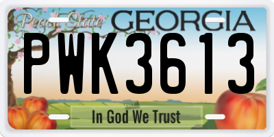 GA license plate PWK3613