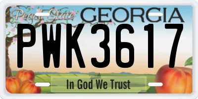 GA license plate PWK3617
