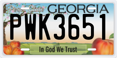 GA license plate PWK3651