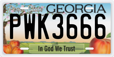 GA license plate PWK3666