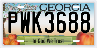 GA license plate PWK3688