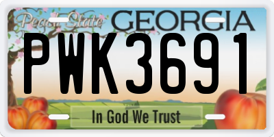 GA license plate PWK3691