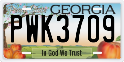 GA license plate PWK3709