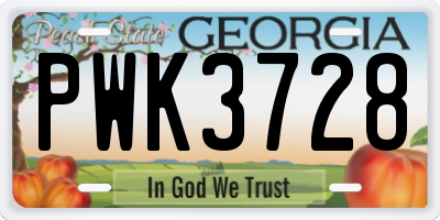 GA license plate PWK3728