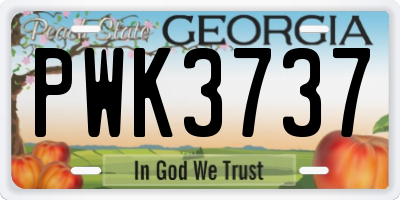 GA license plate PWK3737