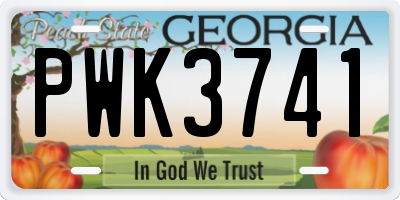 GA license plate PWK3741