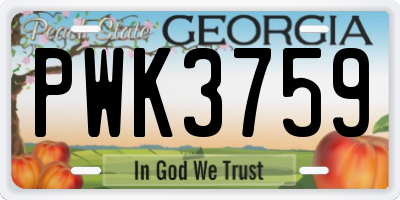 GA license plate PWK3759
