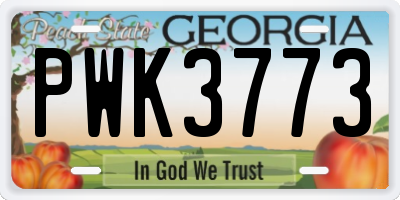 GA license plate PWK3773