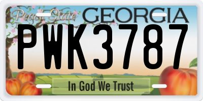 GA license plate PWK3787