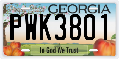 GA license plate PWK3801