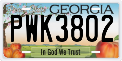 GA license plate PWK3802