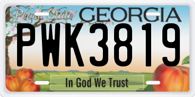 GA license plate PWK3819