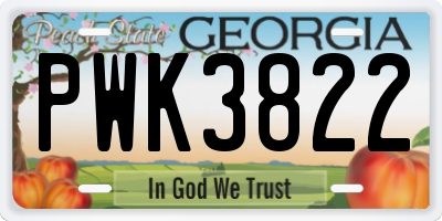 GA license plate PWK3822