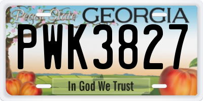 GA license plate PWK3827