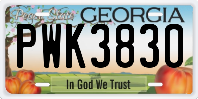 GA license plate PWK3830