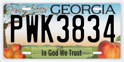 GA license plate PWK3834