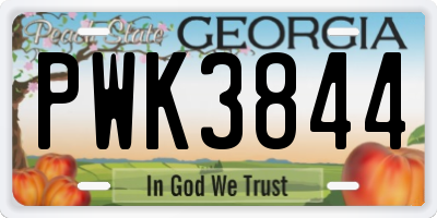 GA license plate PWK3844