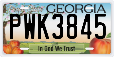 GA license plate PWK3845