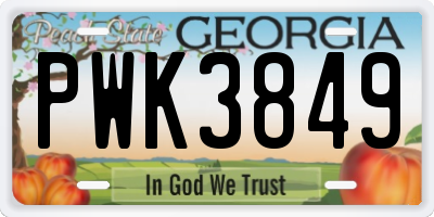 GA license plate PWK3849
