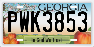 GA license plate PWK3853