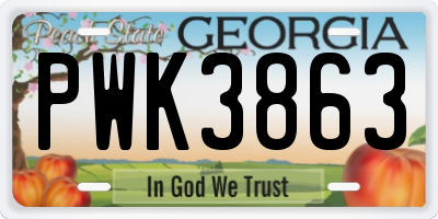 GA license plate PWK3863