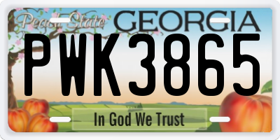 GA license plate PWK3865