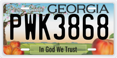GA license plate PWK3868