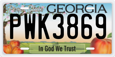 GA license plate PWK3869