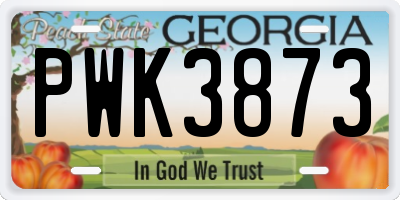 GA license plate PWK3873