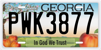 GA license plate PWK3877